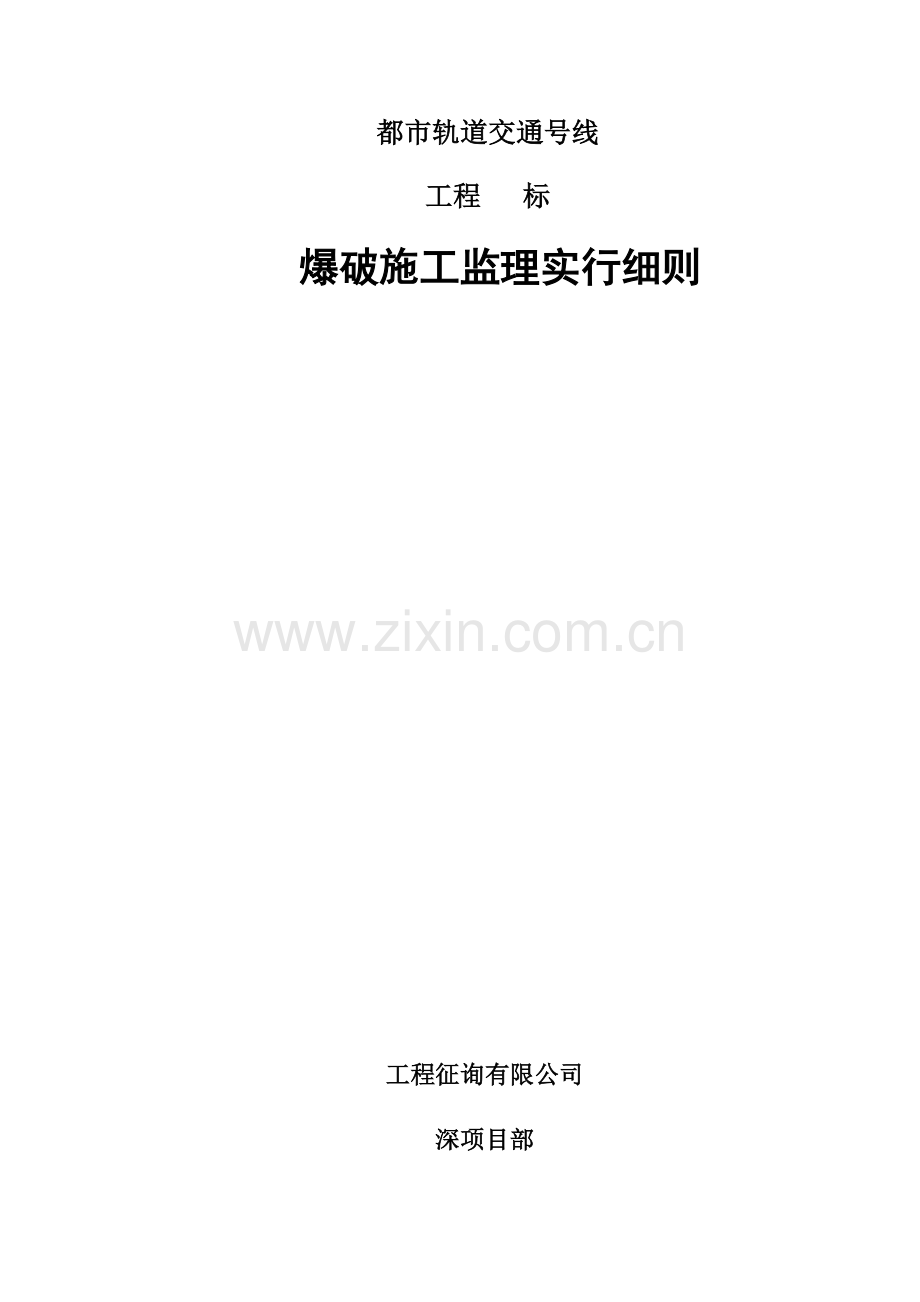 爆破关键工程综合施工监理标准细则.docx_第1页