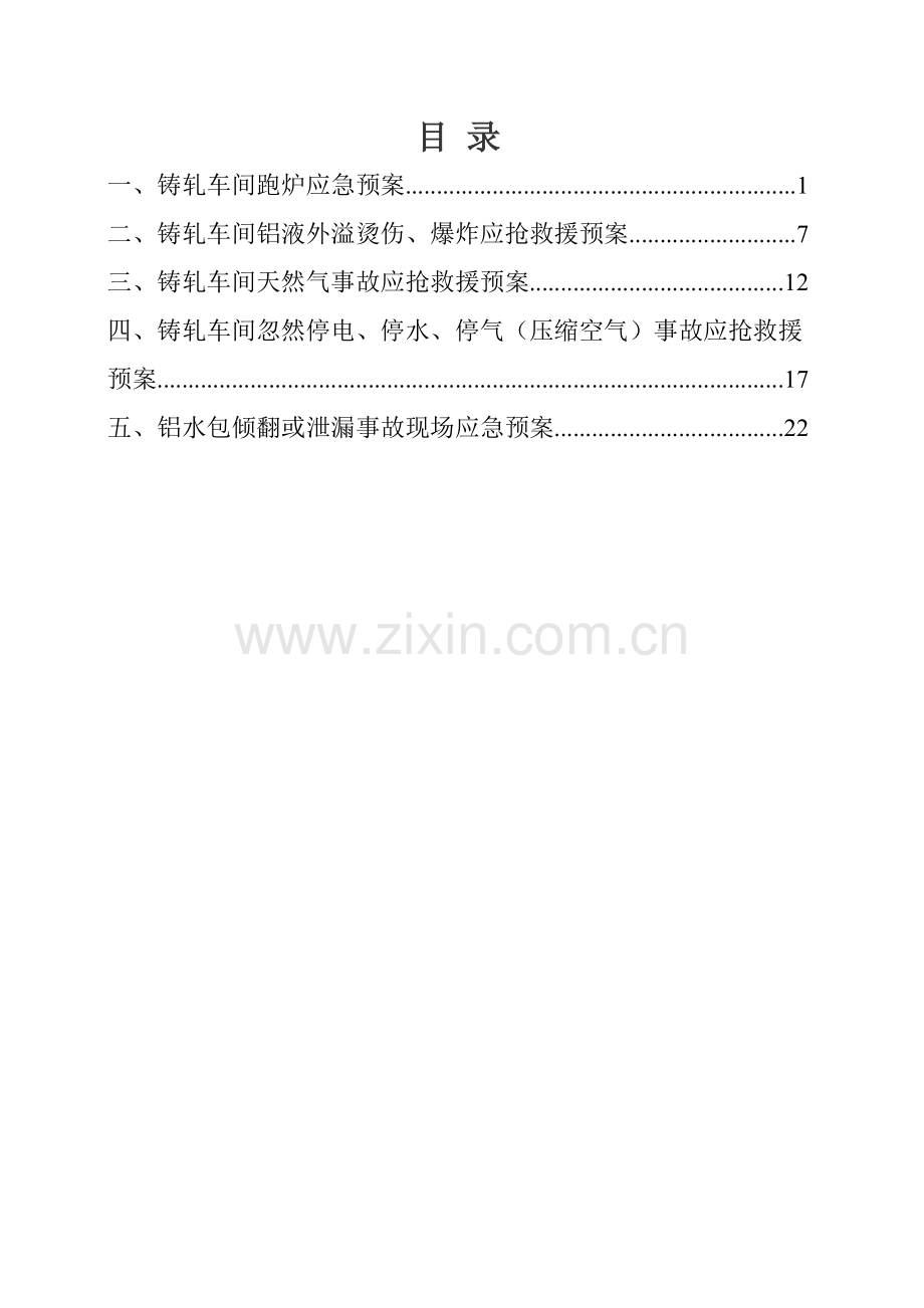 铝业有限责任公司综合应急预案样本.doc_第2页