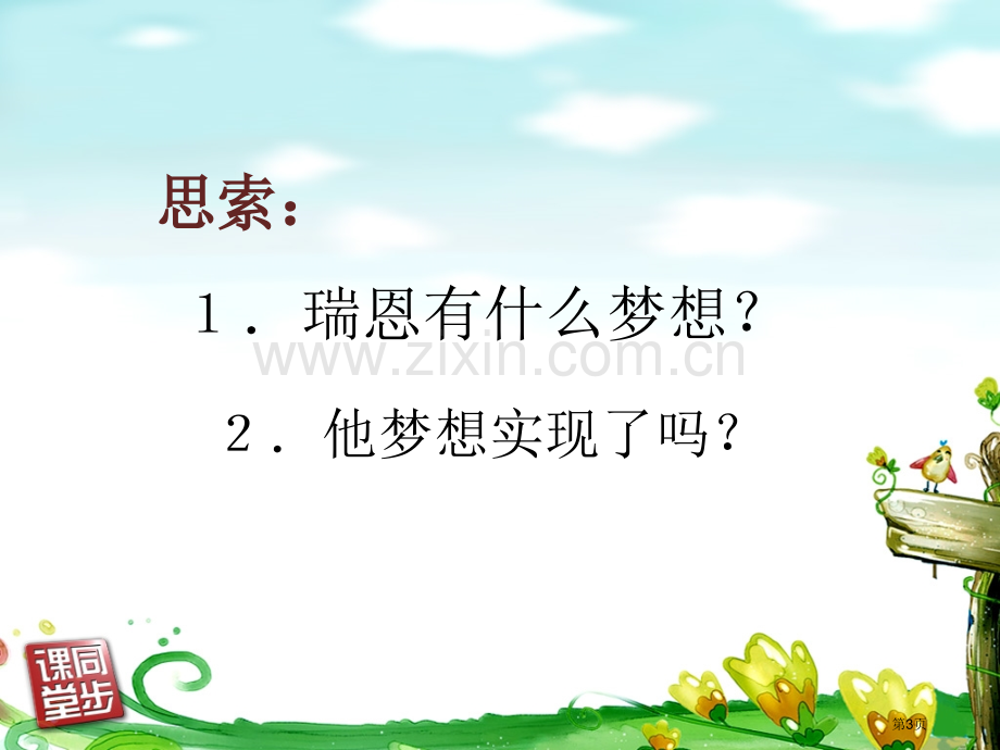 瑞恩的梦想省公开课一等奖新名师比赛一等奖课件.pptx_第3页