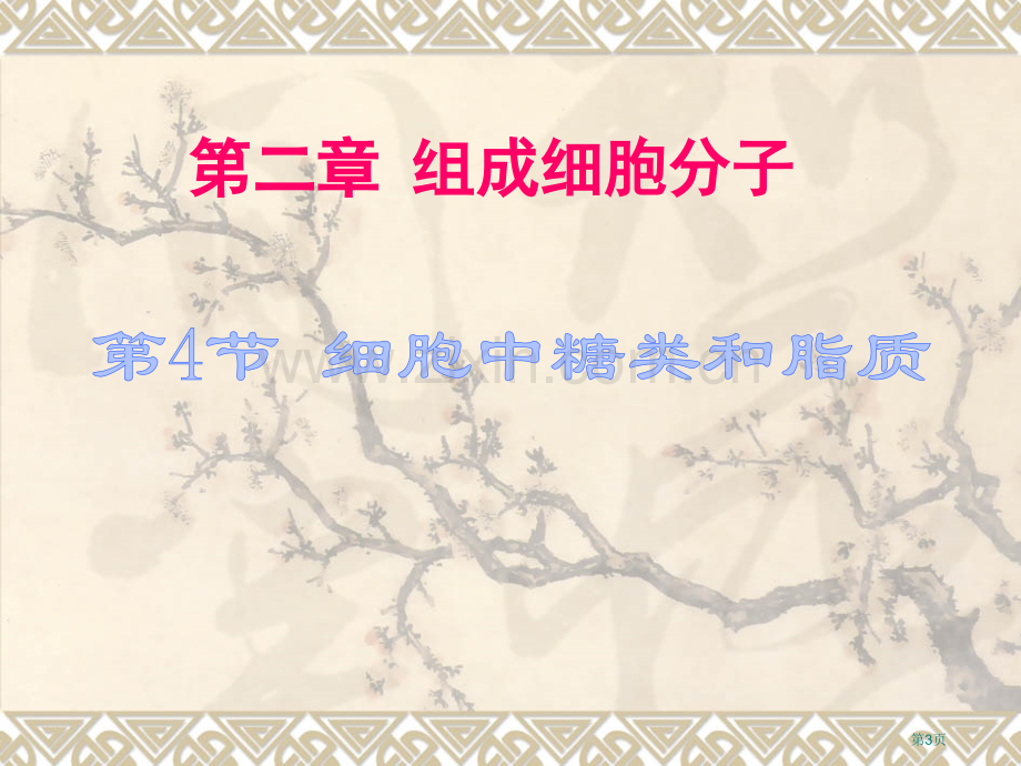 细胞中的糖类和脂质一轮复习省公共课一等奖全国赛课获奖课件.pptx_第3页