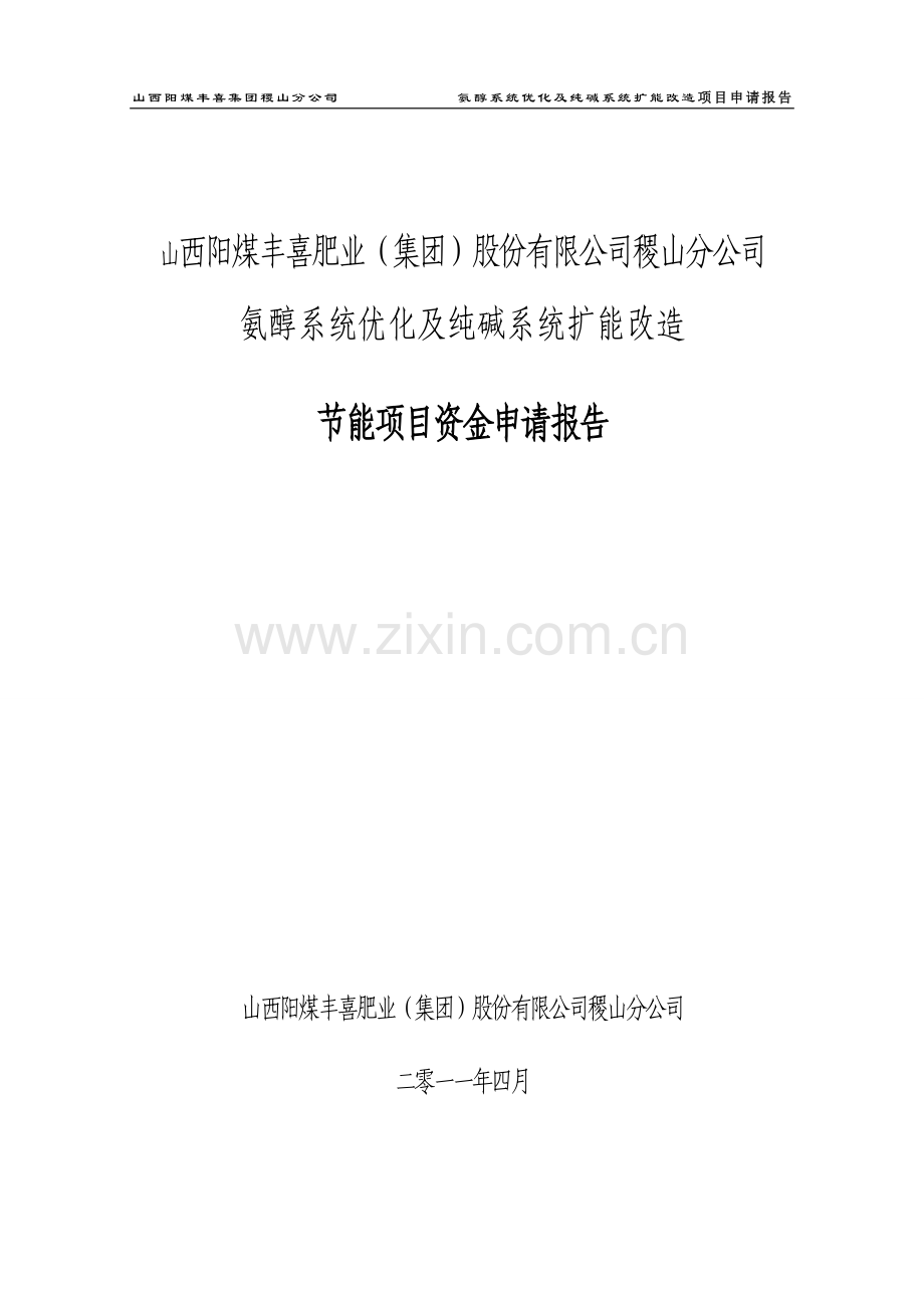 氨醇系统优化及纯碱系统扩能改造节能项目资金申请报告.doc_第1页