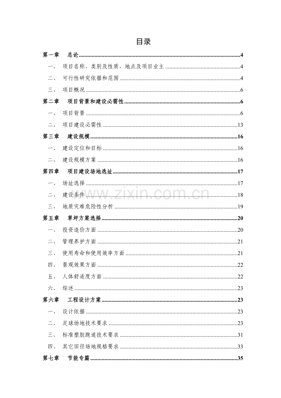 足球场可行性专项研究报告.doc_第1页