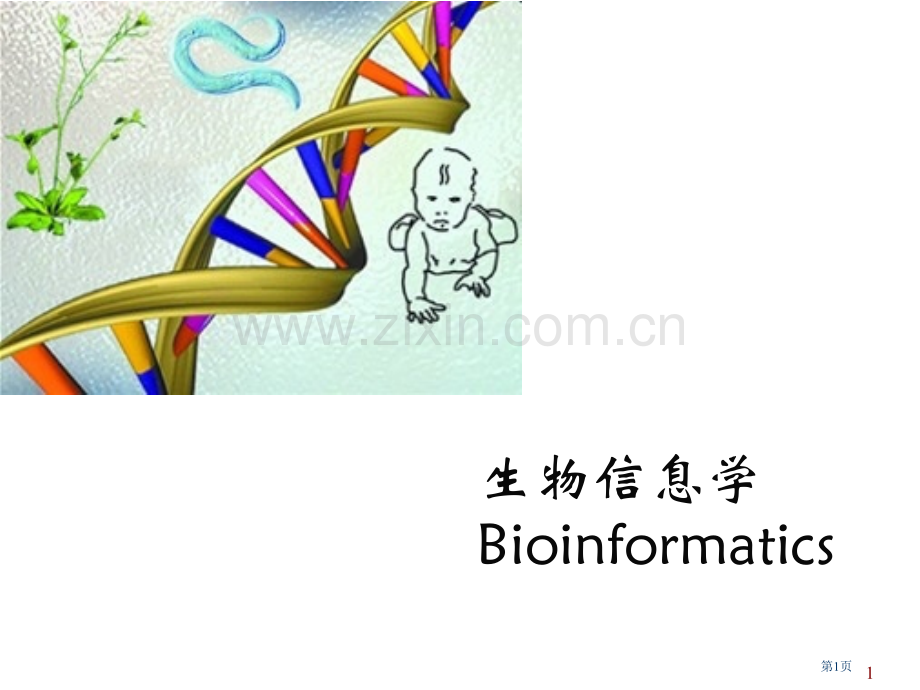 生物信息学Bioinformatics专题培训市公开课一等奖百校联赛特等奖课件.pptx_第1页