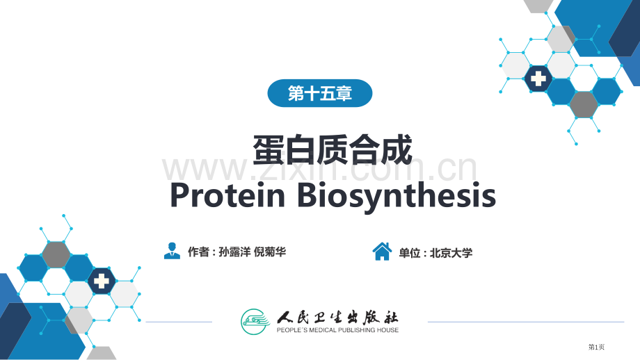 生物化学和分子生物学蛋白质的合成省公共课一等奖全国赛课获奖课件.pptx_第1页