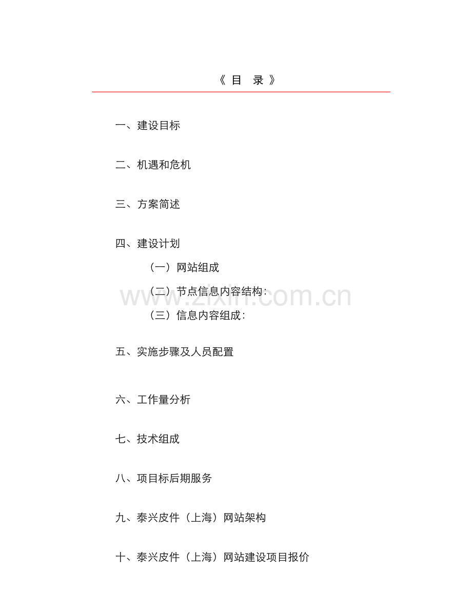 泰兴皮件网站建设项目建议书模板.doc_第1页