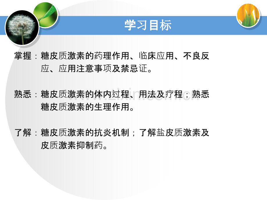 第二十六章药理学-肾上腺皮质激素类药--医学课件.ppt_第3页