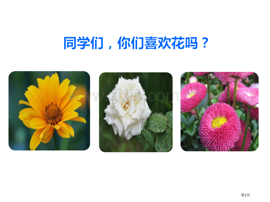 花之歌省公开课一等奖新名师比赛一等奖课件.pptx_第2页