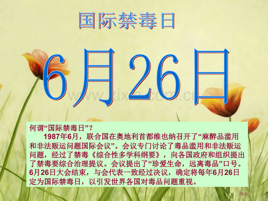 新编小学禁毒教育主题班会专业知识省公共课一等奖全国赛课获奖课件.pptx_第2页