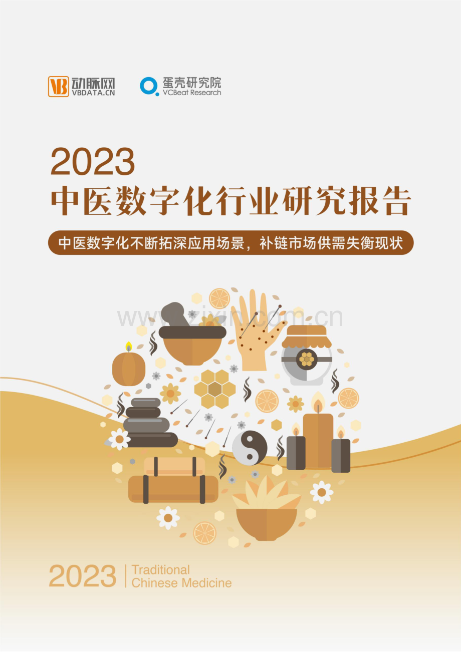 2023中医数字化行业研究报告：不断拓深应用场景补链市场供需失衡现状.pdf_第1页