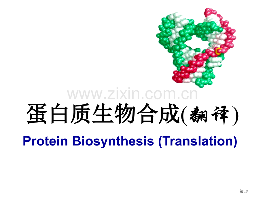 分子生物学翻译省公共课一等奖全国赛课获奖课件.pptx_第1页