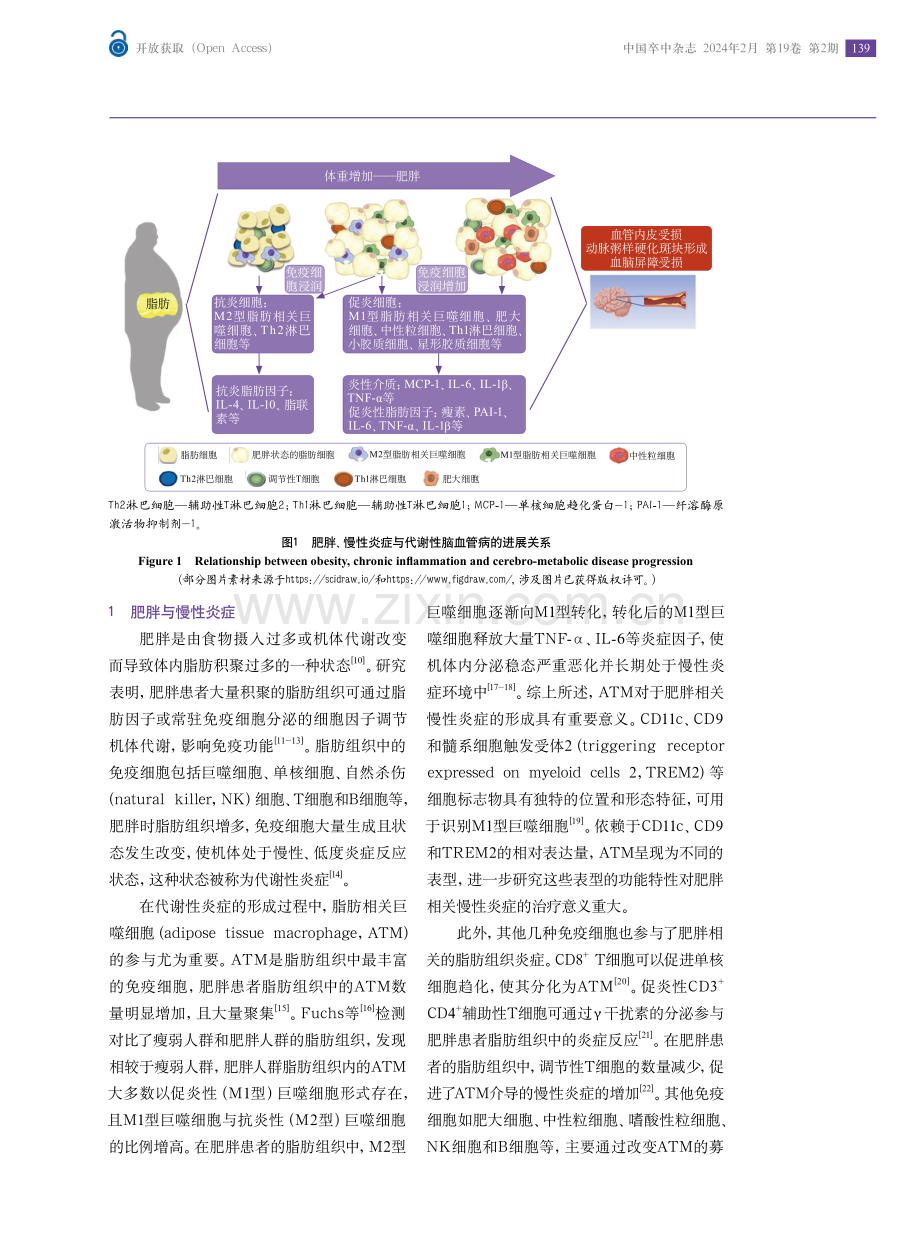 肥胖相关慢性炎症与代谢性脑血管病.pdf_第2页