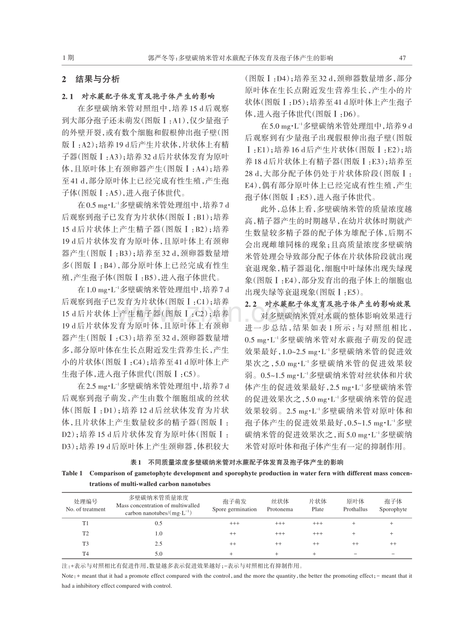 多壁碳纳米管对水蕨配子体发育及孢子体产生的影响.pdf_第3页