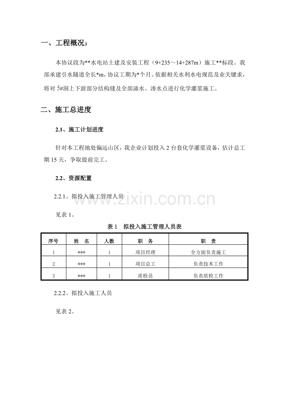 化学灌浆综合标准施工专业方案.docx_第2页