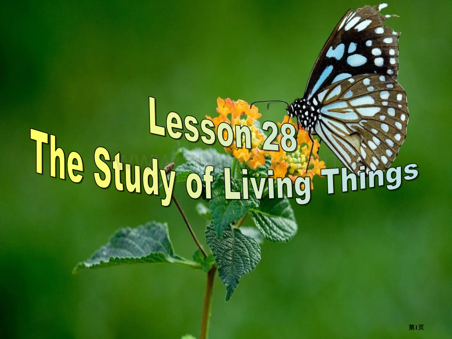 The-Study-of-Living-ThingsLook-into-Science!省公开课一等.pptx_第1页