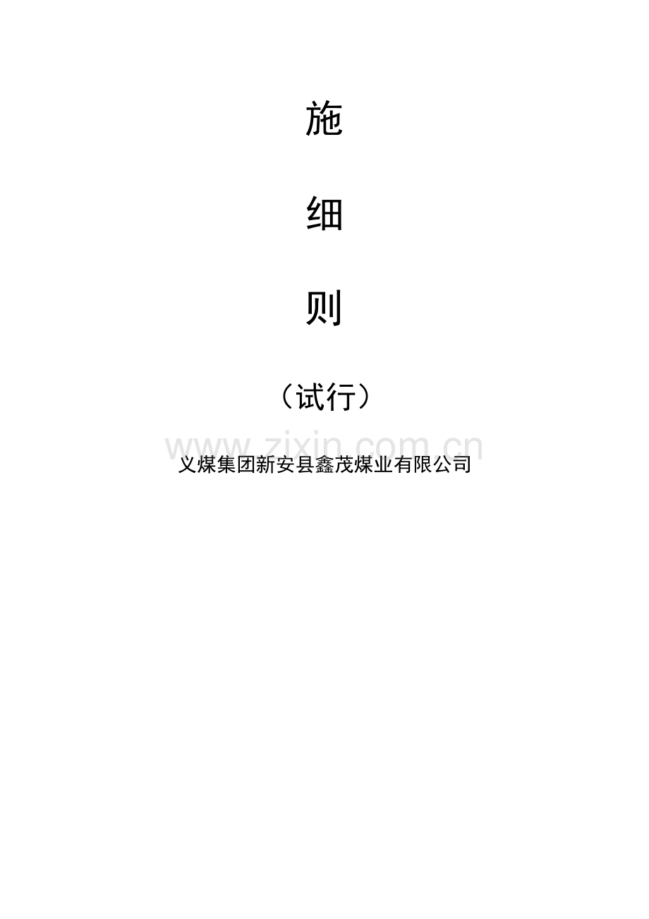 安全生产管理实施标准细则.docx_第2页