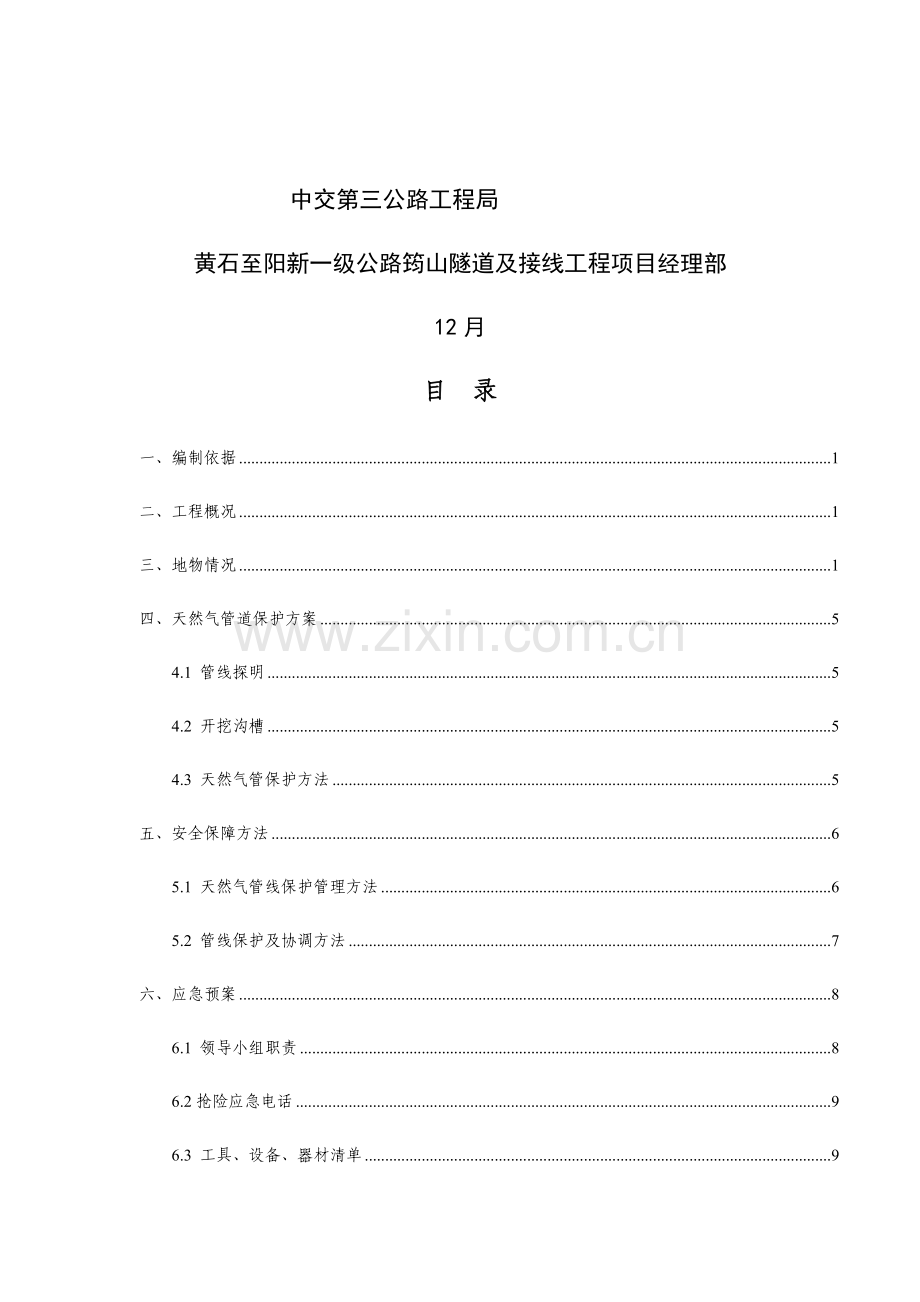 天然气管道保护专项方案.docx_第2页