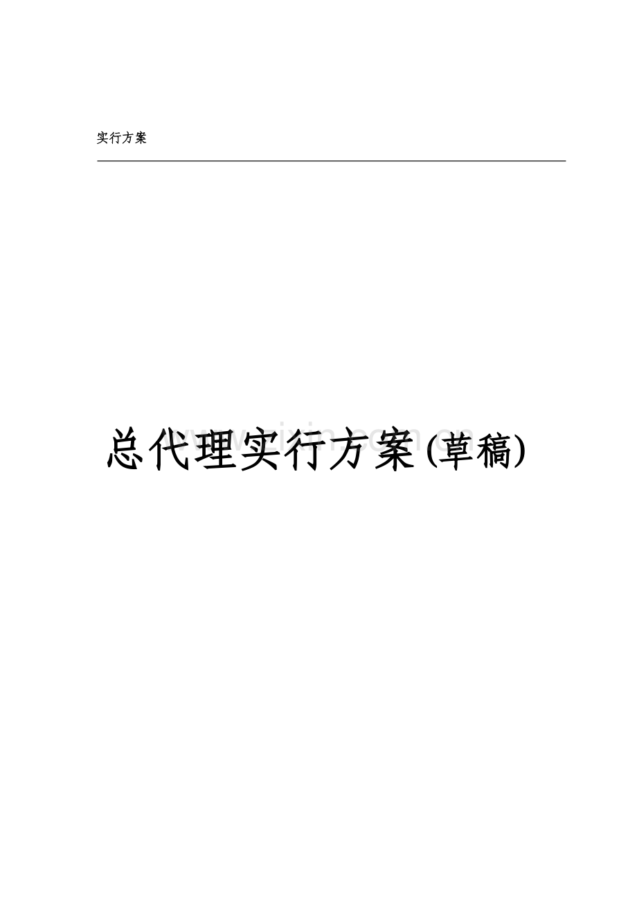 企业营销总代理实施专题方案.docx_第1页