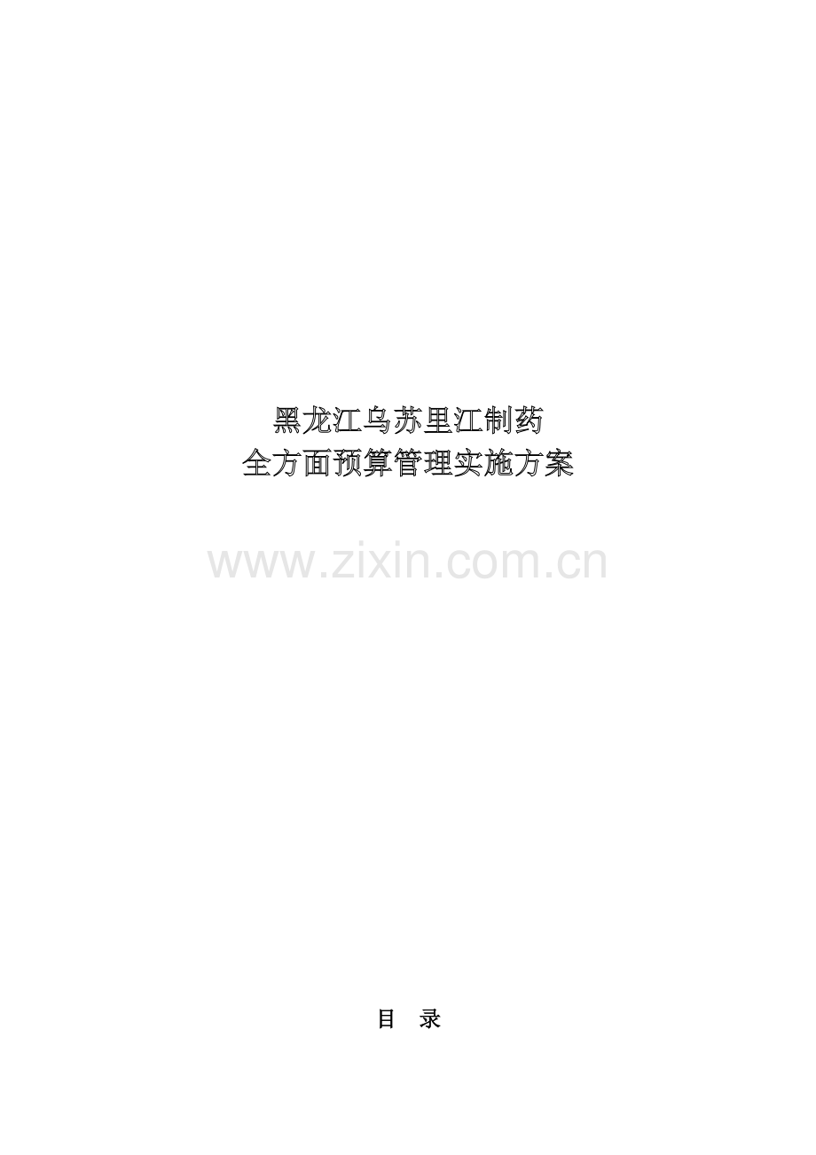 全面专项预算管理实施专业方案.doc_第1页