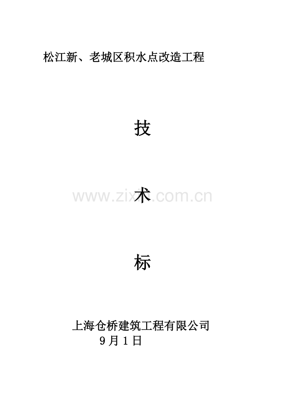 关键技术标书模板编制说明和编制依据.doc_第1页