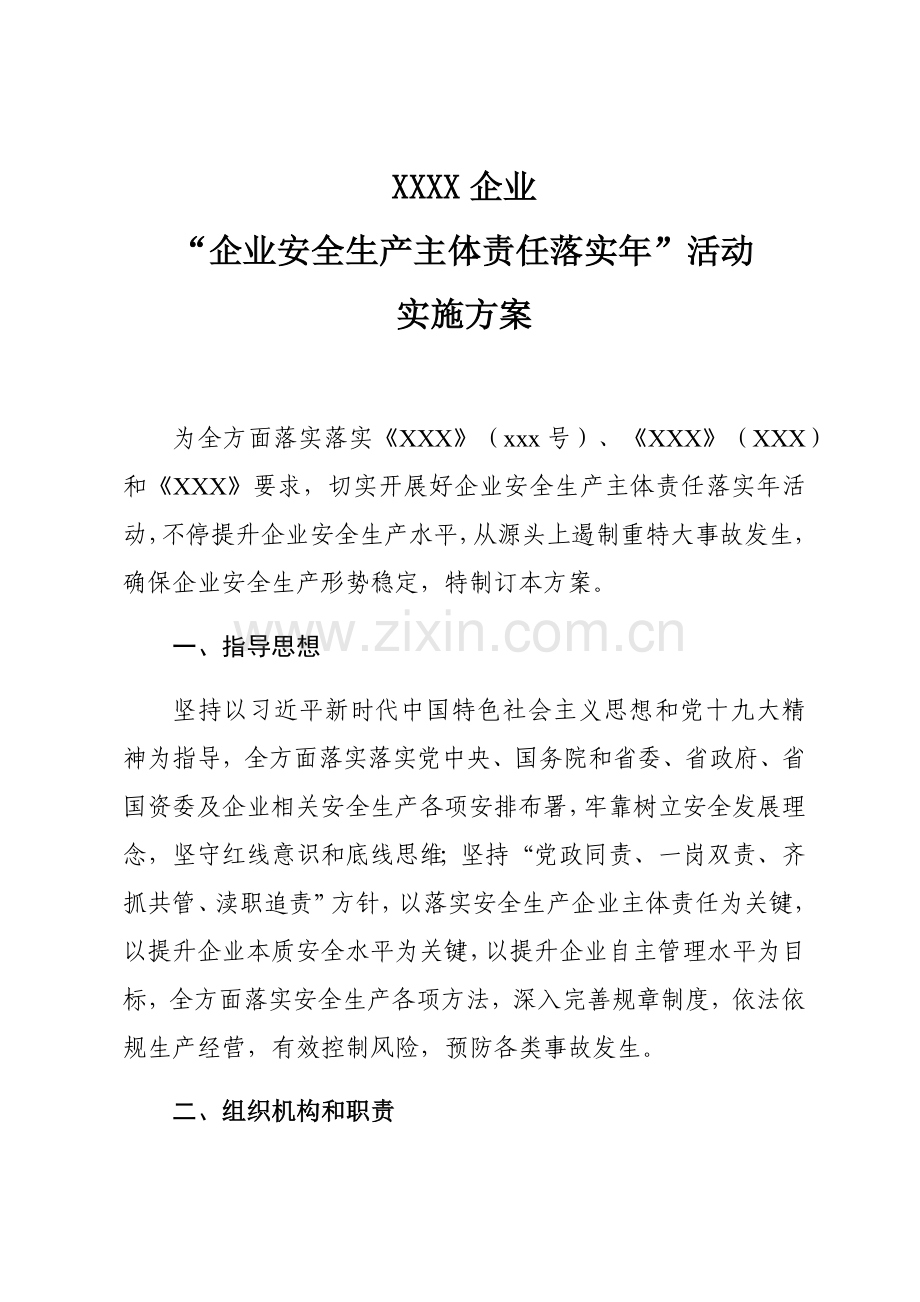 企业安全生产主体责任落实年活动实施专业方案.docx_第1页