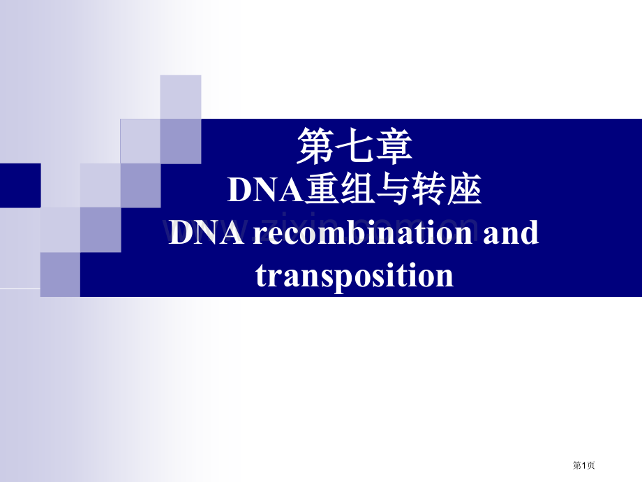 分子生物学DNA的重组与转座省公共课一等奖全国赛课获奖课件.pptx_第1页