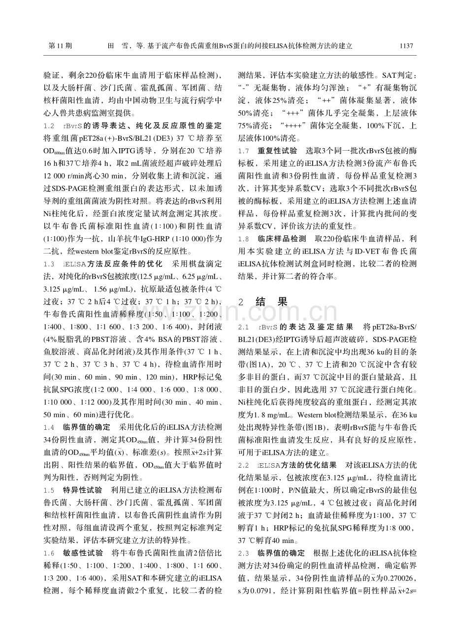 基于流产布鲁氏菌重组BvrS蛋白的间接ELISA抗体检测方法的建立.pdf_第3页