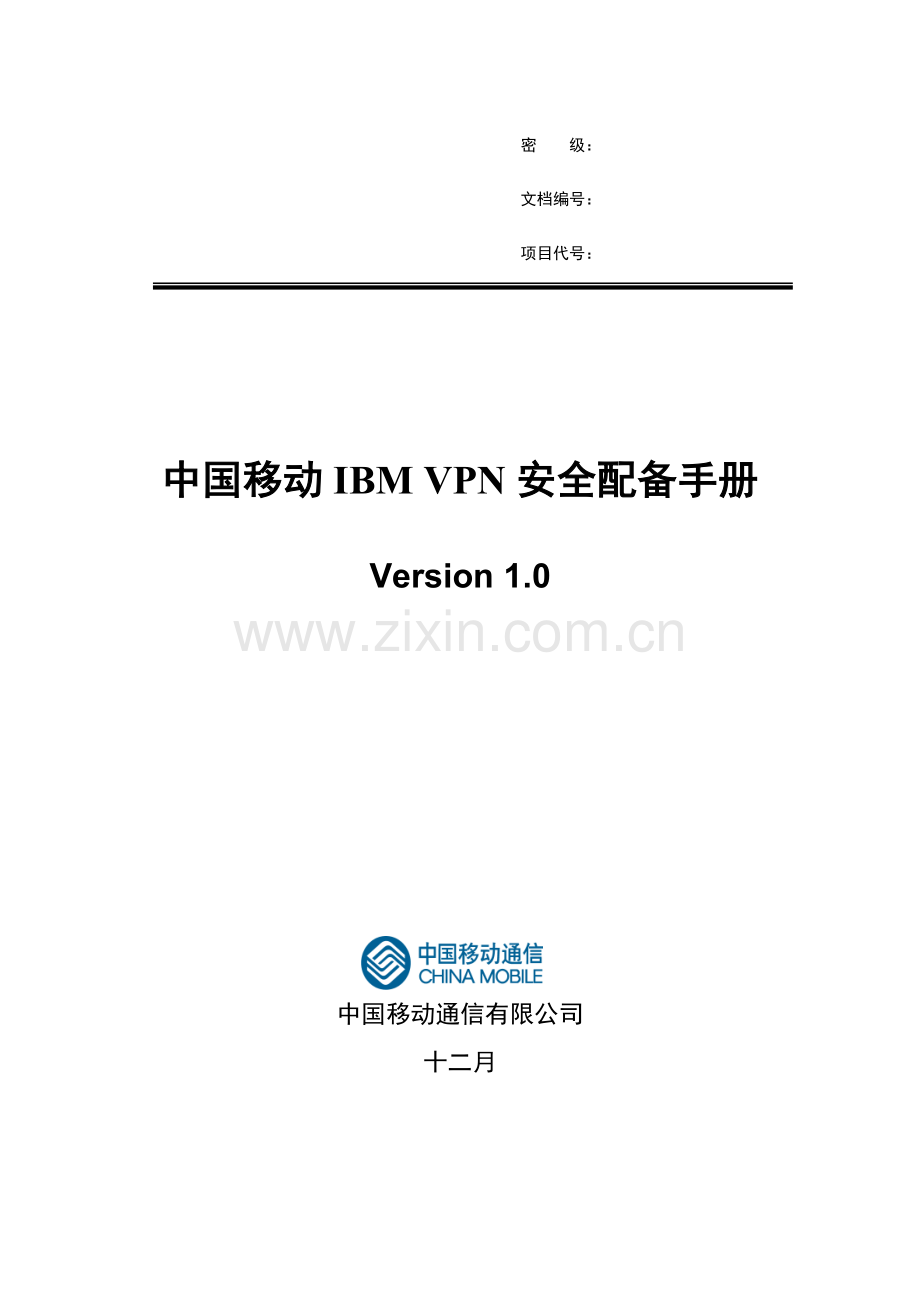 中国移动IBMVPN安全配置标准手册.docx_第1页