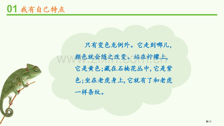 我是独特的省公开课一等奖新名师比赛一等奖课件.pptx_第3页