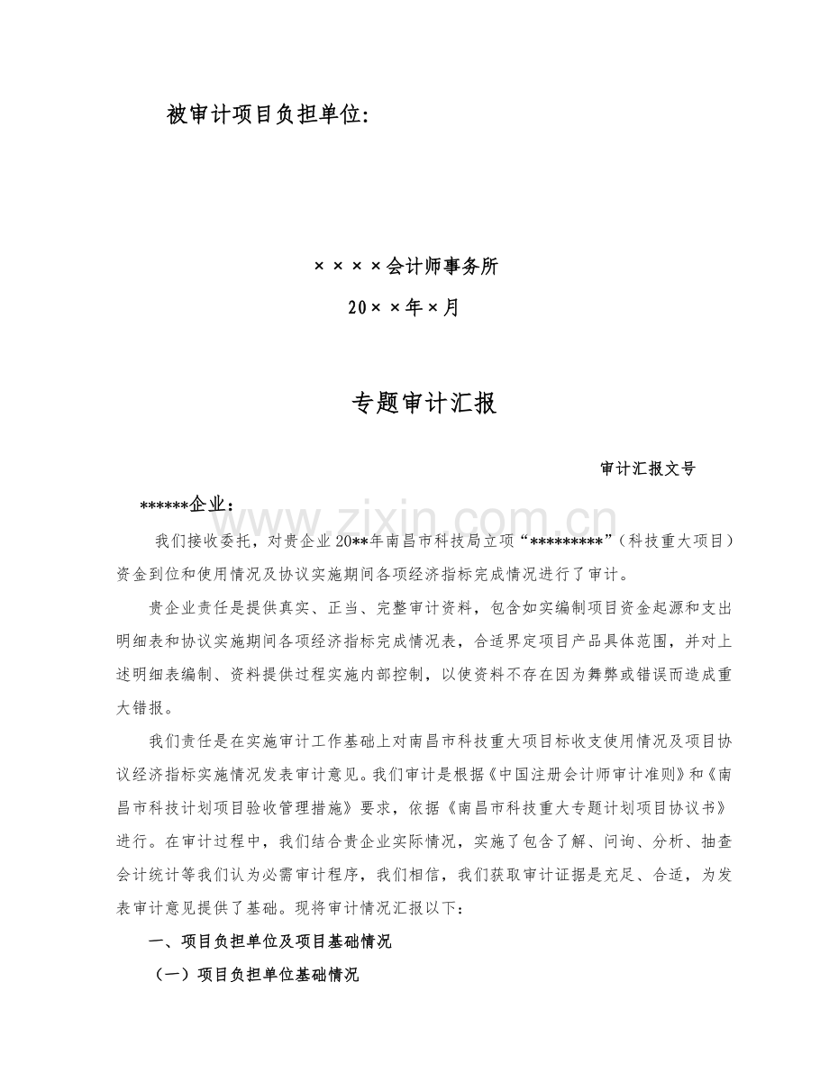 南昌市科技重大优质项目验收财务专项审计基础报告格式.doc_第3页