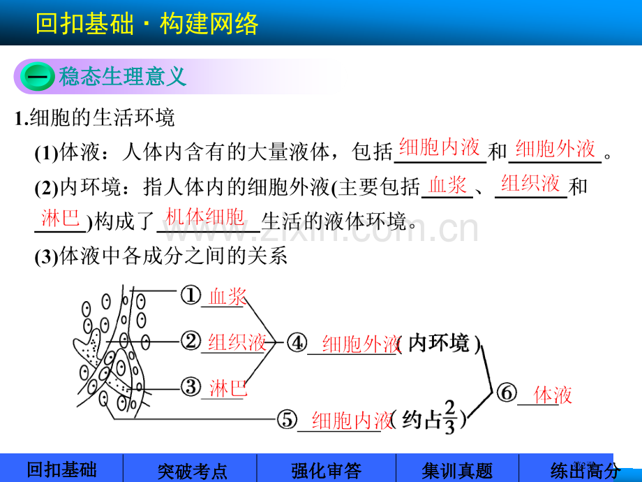 届高考苏教版生物大一轮省公共课一等奖全国赛课获奖课件.pptx_第2页