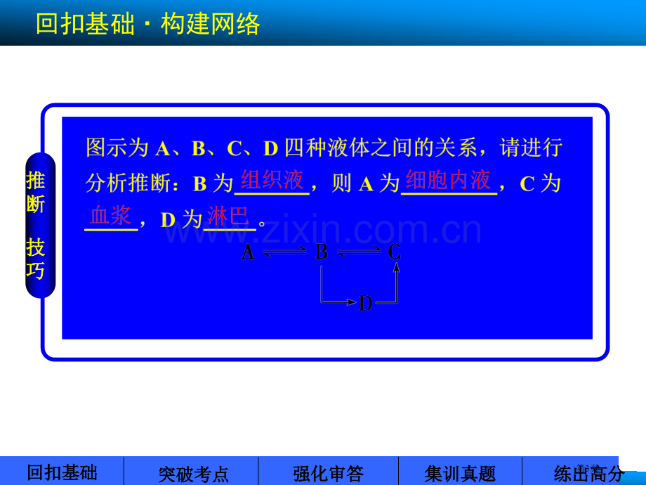 届高考苏教版生物大一轮省公共课一等奖全国赛课获奖课件.pptx_第3页