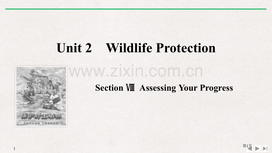 Wildlife-ProtectionSectionⅧ.pptx_第1页