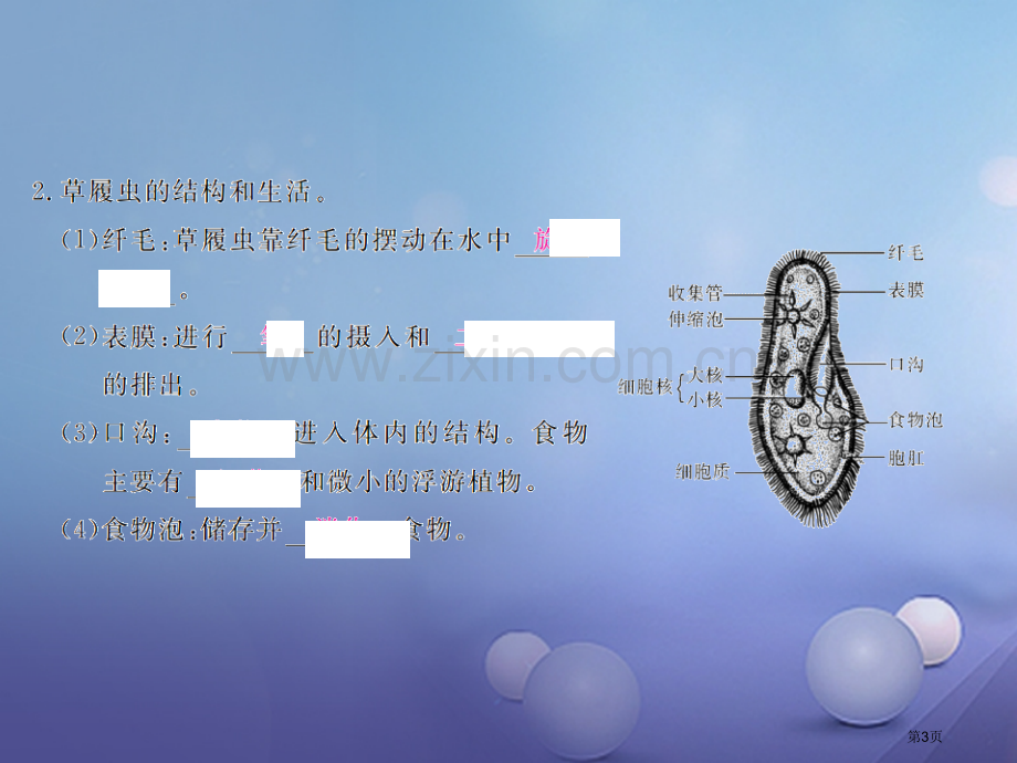 七年级生物上册第二单元第二章第四节单细胞生物PPT市公开课一等奖百校联赛特等奖大赛微课金奖PPT课件.pptx_第3页