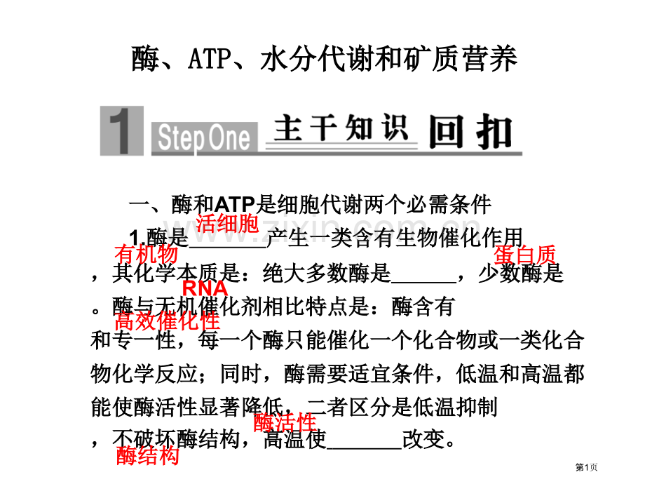 届高考生物专题突破复习省公共课一等奖全国赛课获奖课件.pptx_第1页