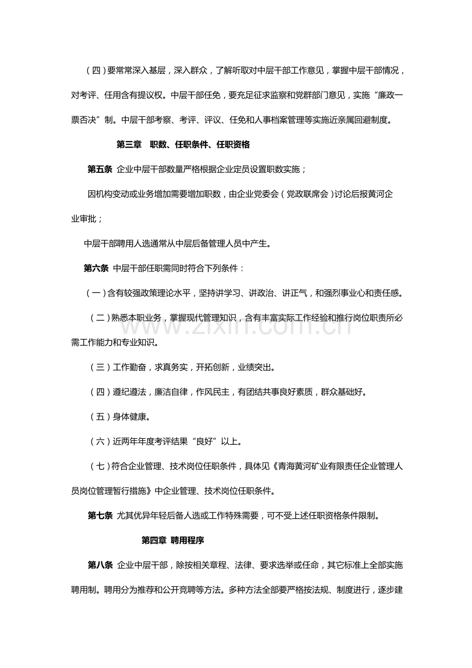 中层干部管理详细规定.doc_第2页