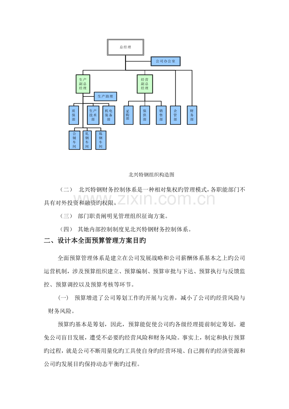 全面具体预算管理实施专题方案.docx_第3页