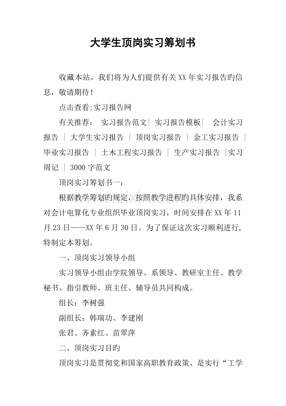 大学生顶岗实习综合计划书.docx_第1页