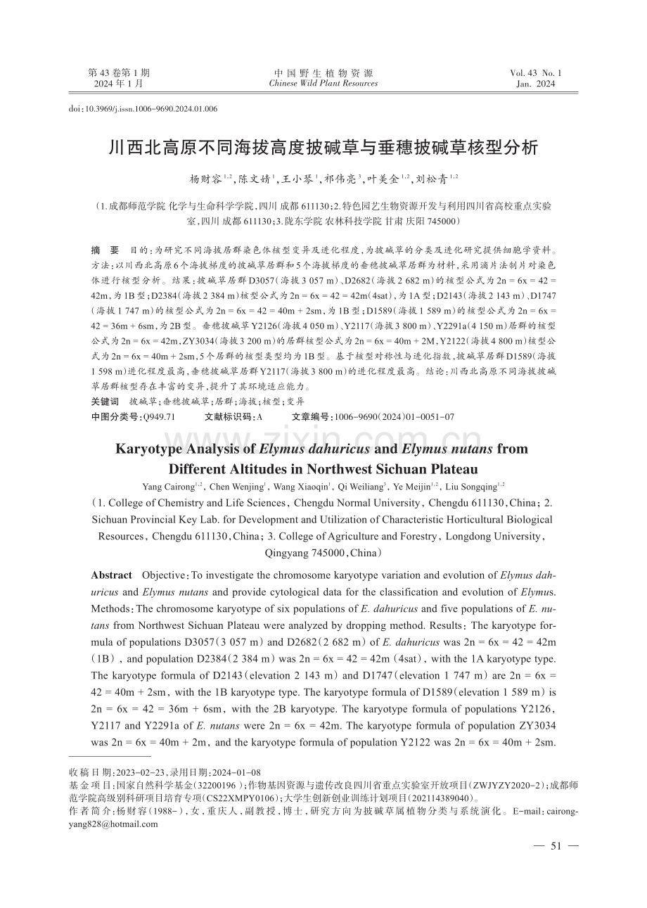 川西北高原不同海拔高度披碱草与垂穗披碱草核型分析.pdf_第1页