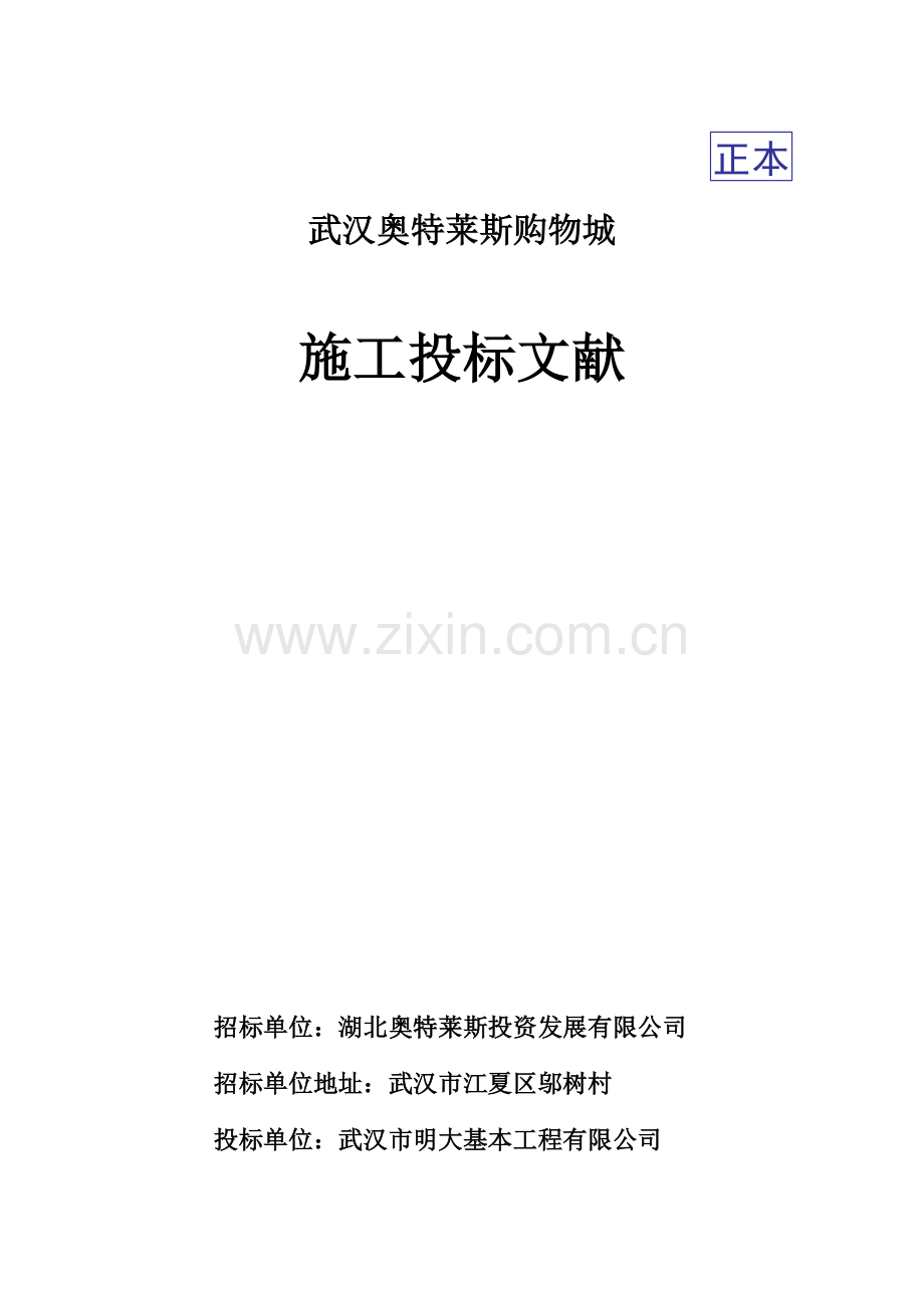 专项项目综合施工投优秀标书.docx_第3页