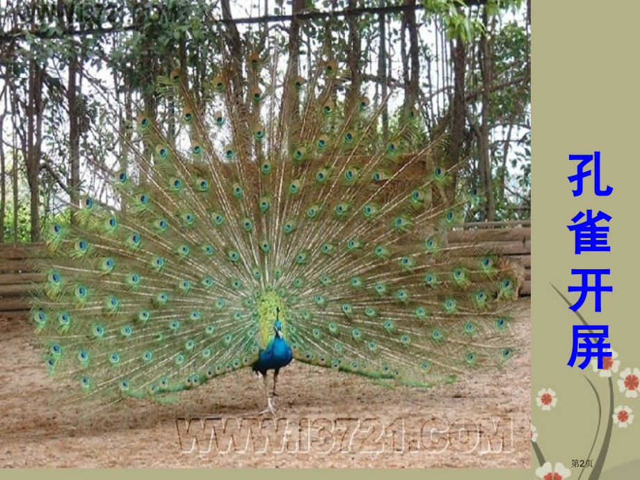 八年级生物上册第五单元动物的运动和行为先天性行为和学习行为新人教版7省公共课一等奖全国赛课获奖课件.pptx_第2页