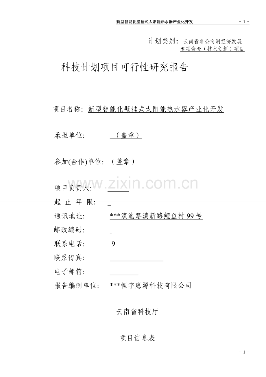 新型智能化壁挂式太阳能热水器产业化开发可行性研究报告书.doc_第1页