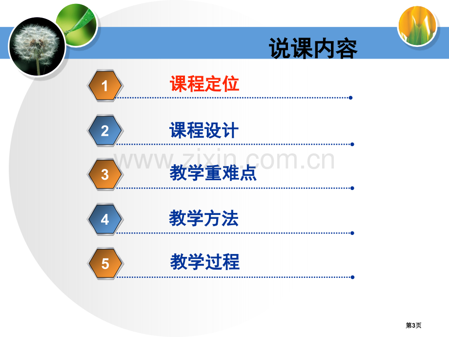 园林植物造景课程说课省公共课一等奖全国赛课获奖课件.pptx_第3页