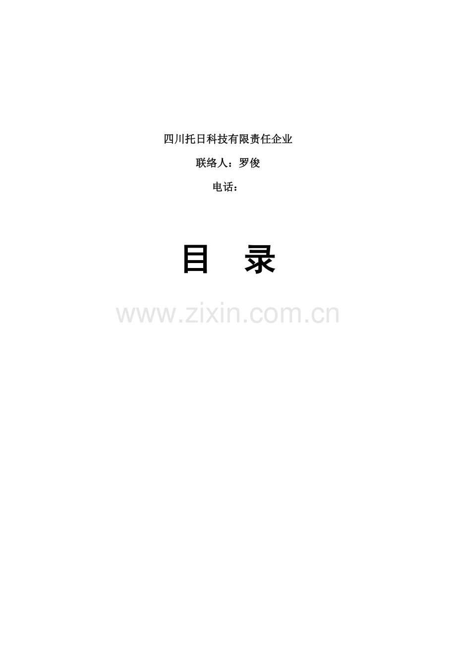 新版视频会议网络分析与系统解决方案模板.doc_第2页