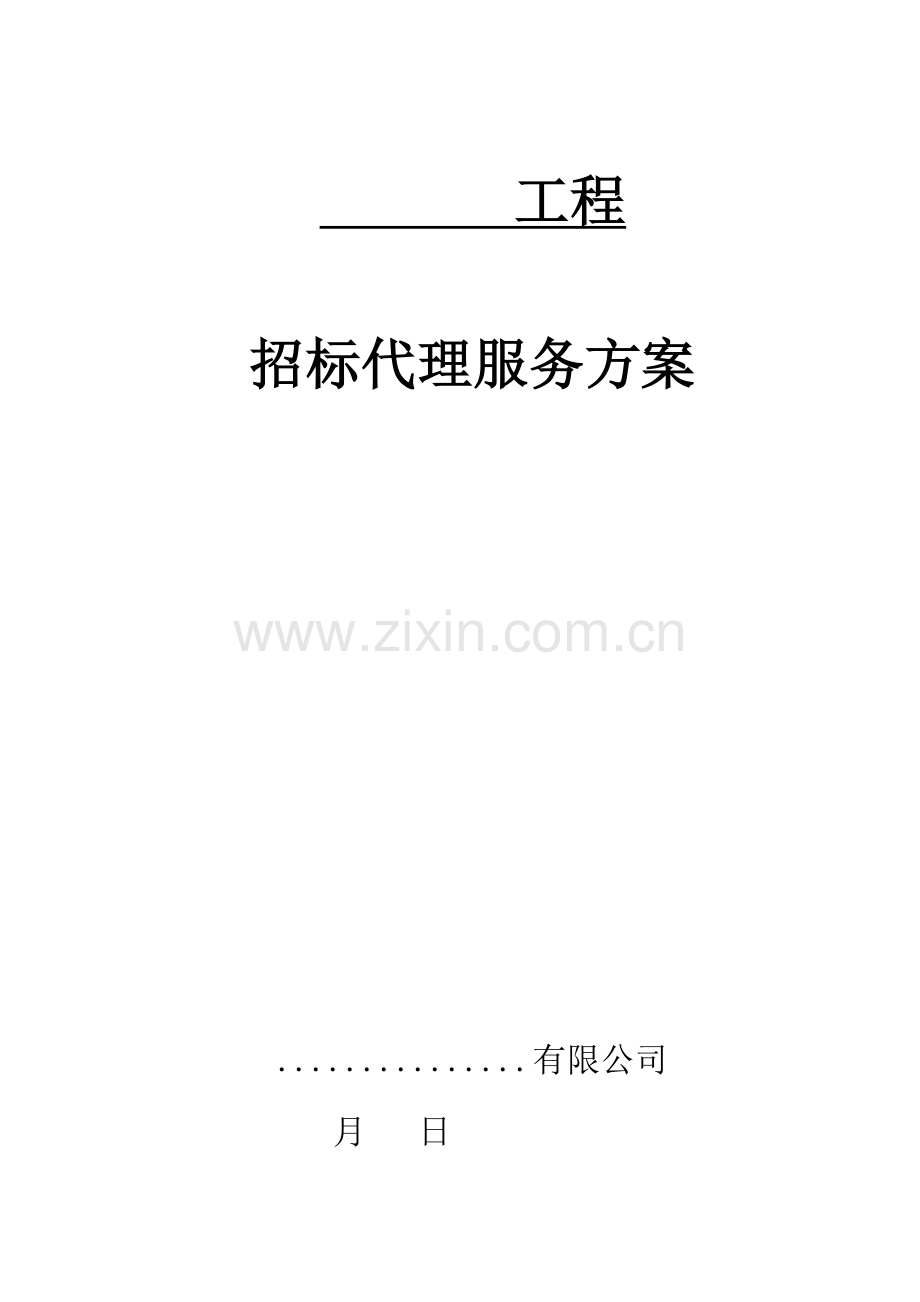 关键工程全新招标代理专题方案.docx_第1页