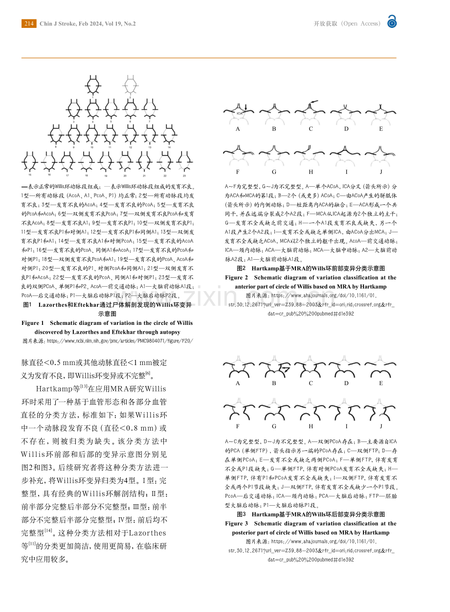 Willis环变异与缺血性卒中相关性的研究进展.pdf_第2页