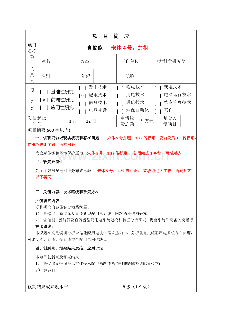 中国南方电网有限责任公司科技综合项目综合项目申请说明指导书及可行性研究应用报告模板.doc_第3页