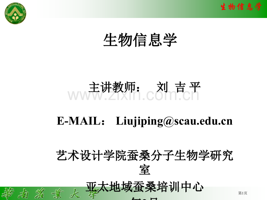 生物信息学专题培训市公开课一等奖百校联赛特等奖课件.pptx_第1页