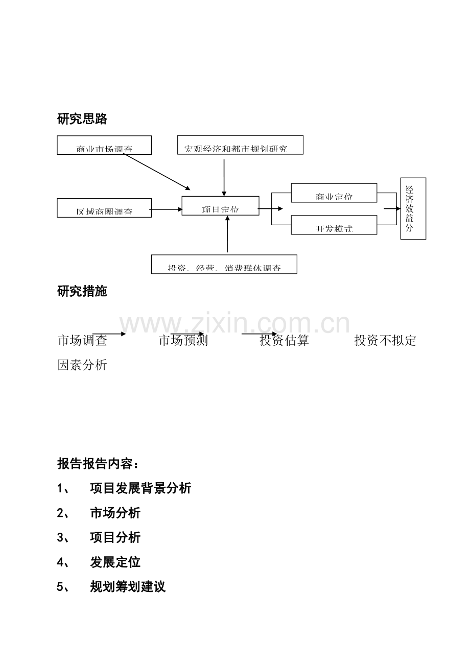 商业地产专项项目开发前期专题研究报告.docx_第2页