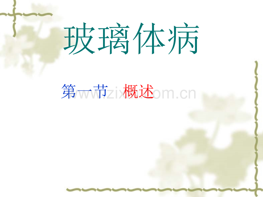 玻璃体病医学PPT课件.ppt_第2页