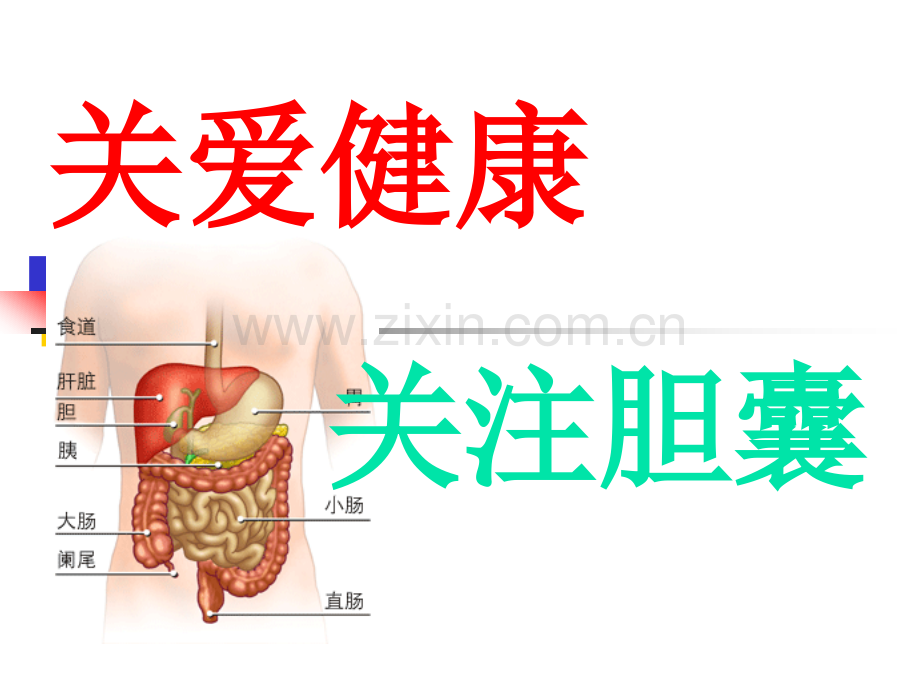 关注胆囊饮食指导---医学课件.ppt_第1页